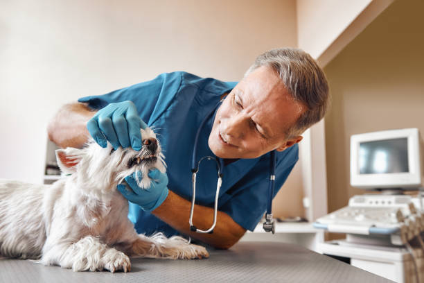 Best Emergency Treatment for Dental Infections or Abscesses in Mountain Brook, AL